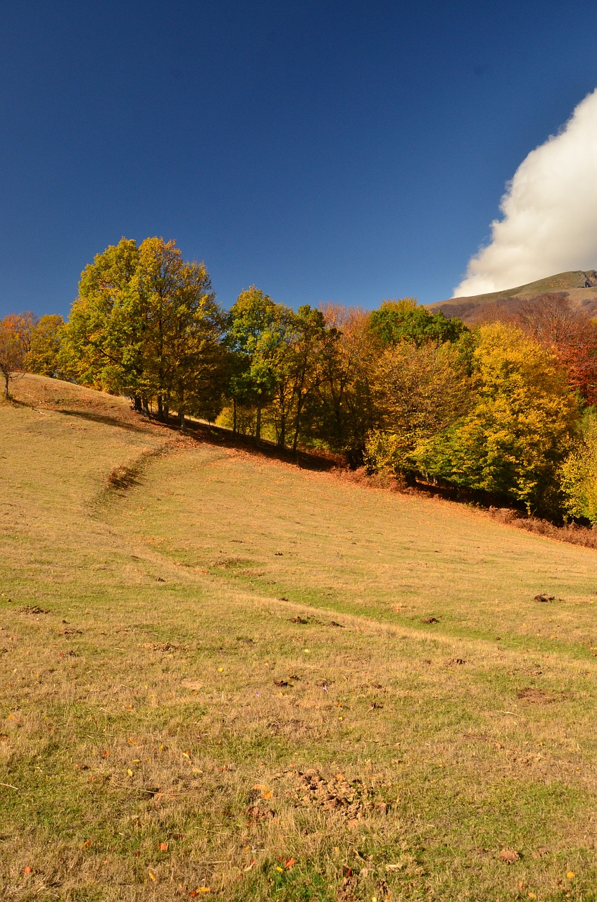 landscape hill nature free photo