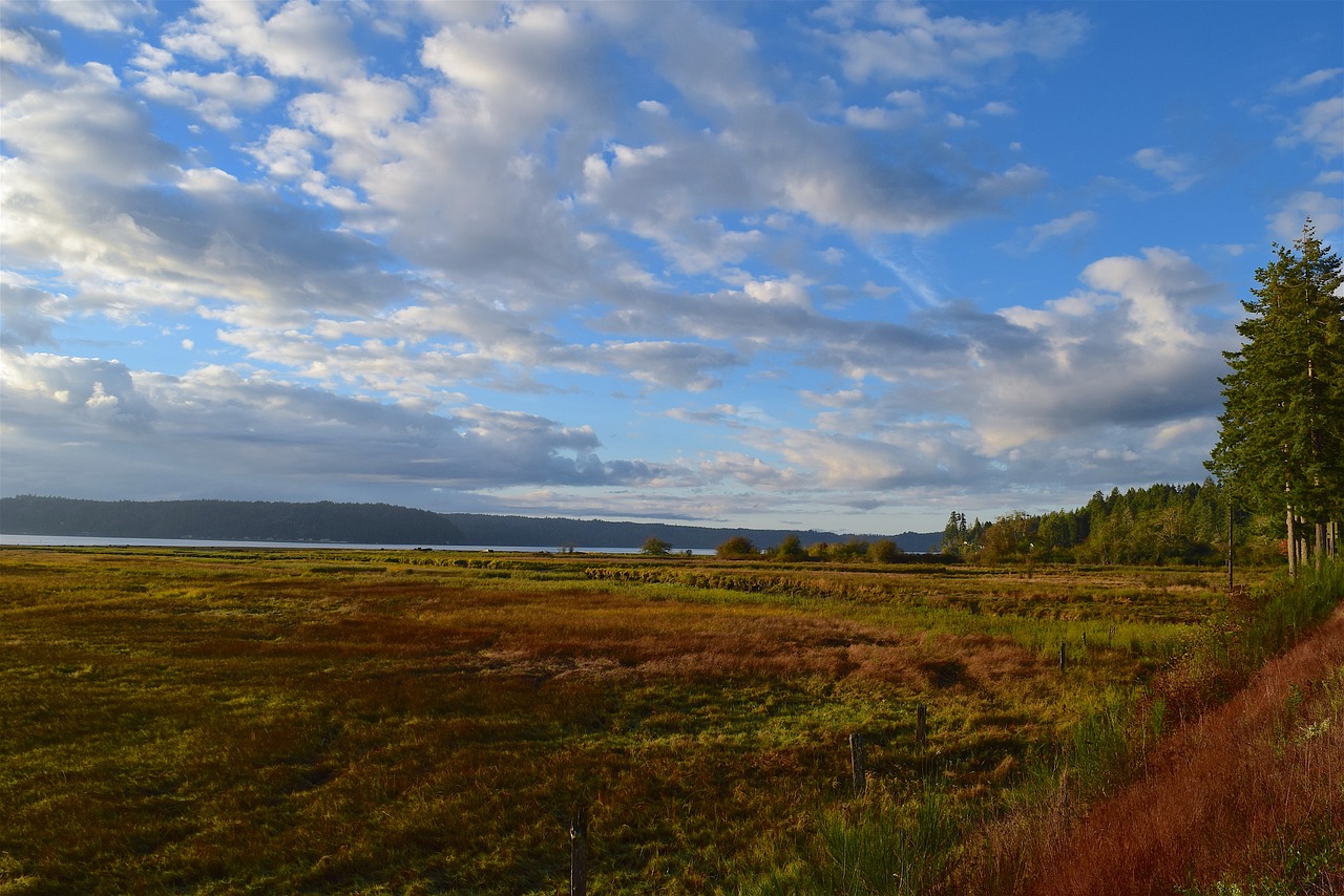 landscape  sunrise  clouds free photo