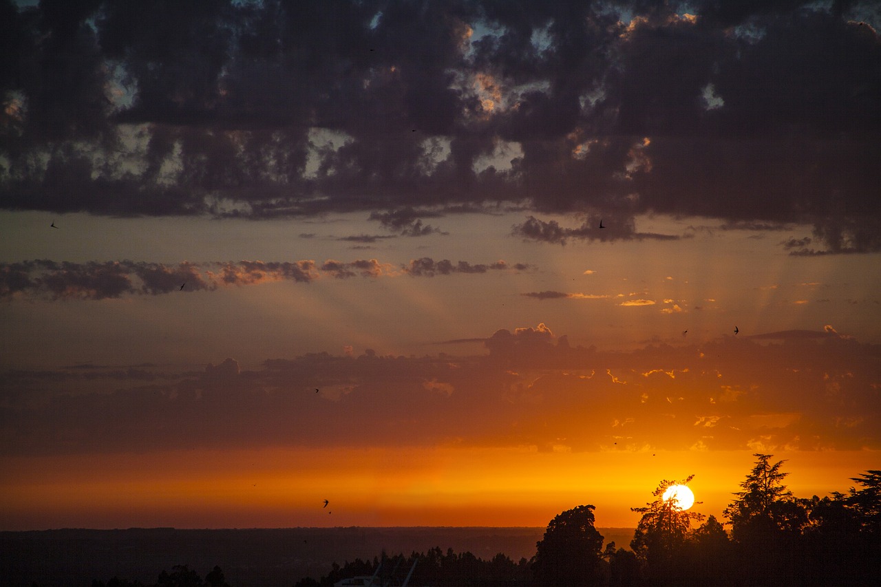 landscape  nature  clouds free photo