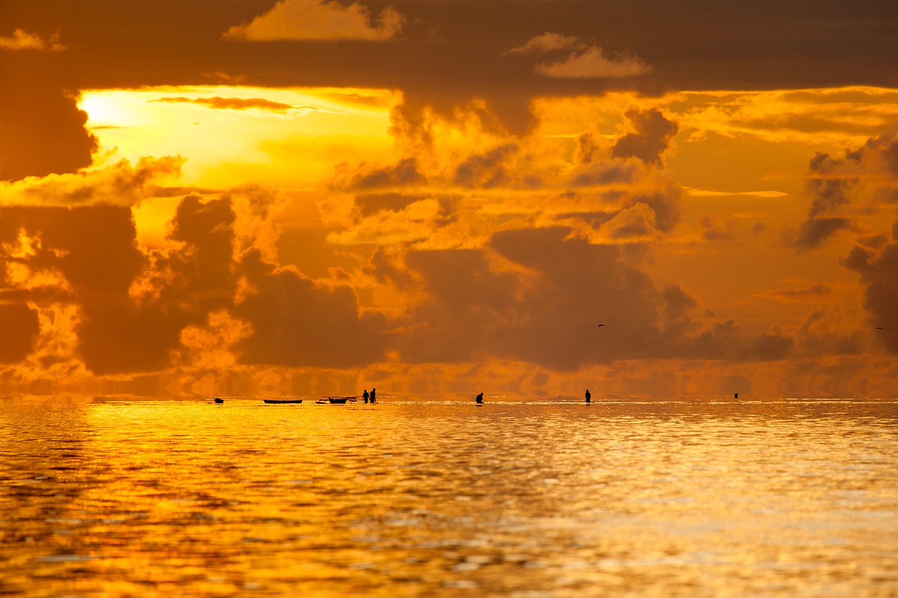 landscape  chaoyang  the shallow sea free photo