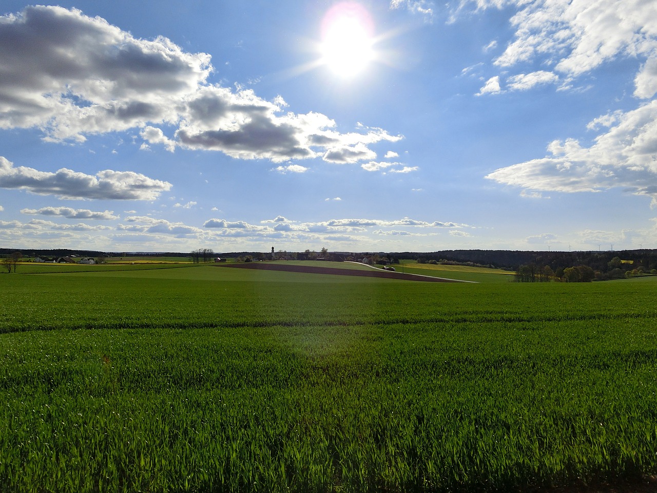 landscape fields cornfield free photo