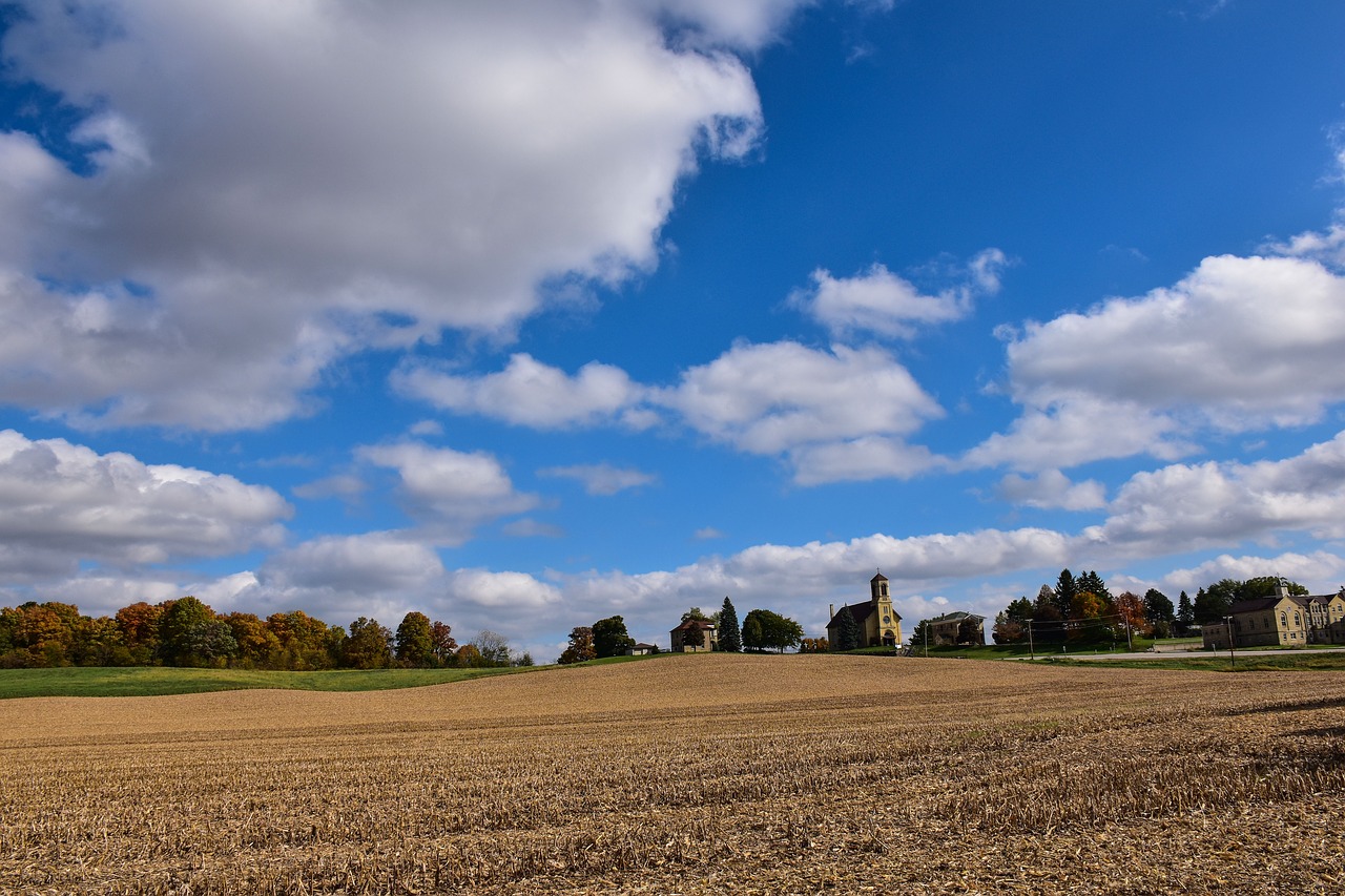 landscape  fall  nature free photo