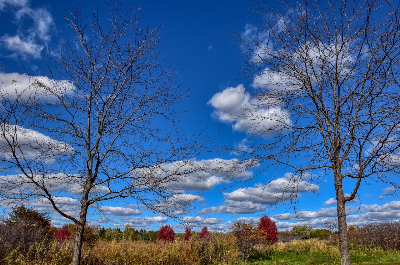 landscape  fall  prairie free photo