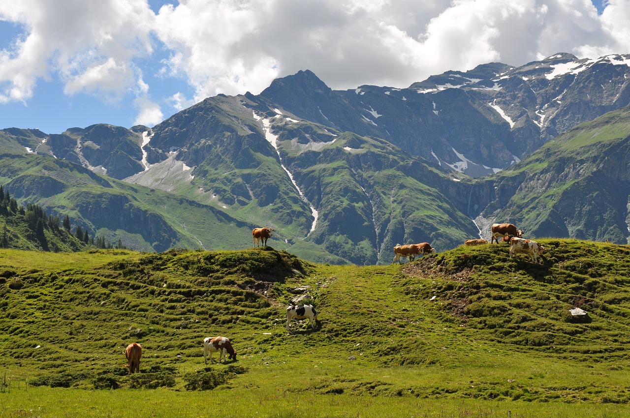 landscape  mountains  panorama free photo