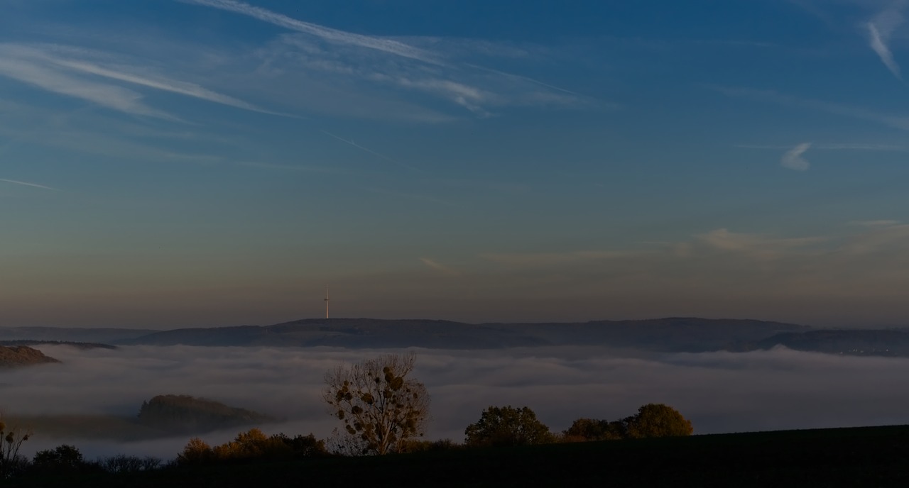 landscape  fog  nature free photo