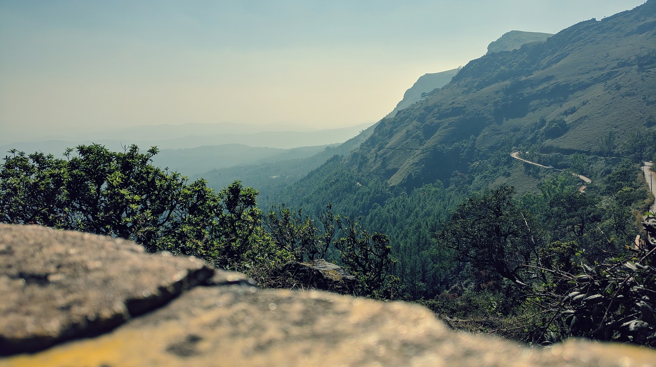 landscape  mountain  trees free photo