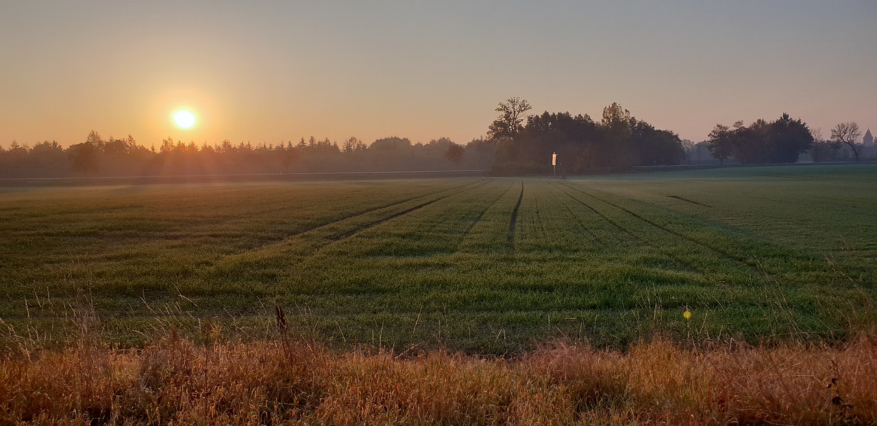 landscape  east  field free photo