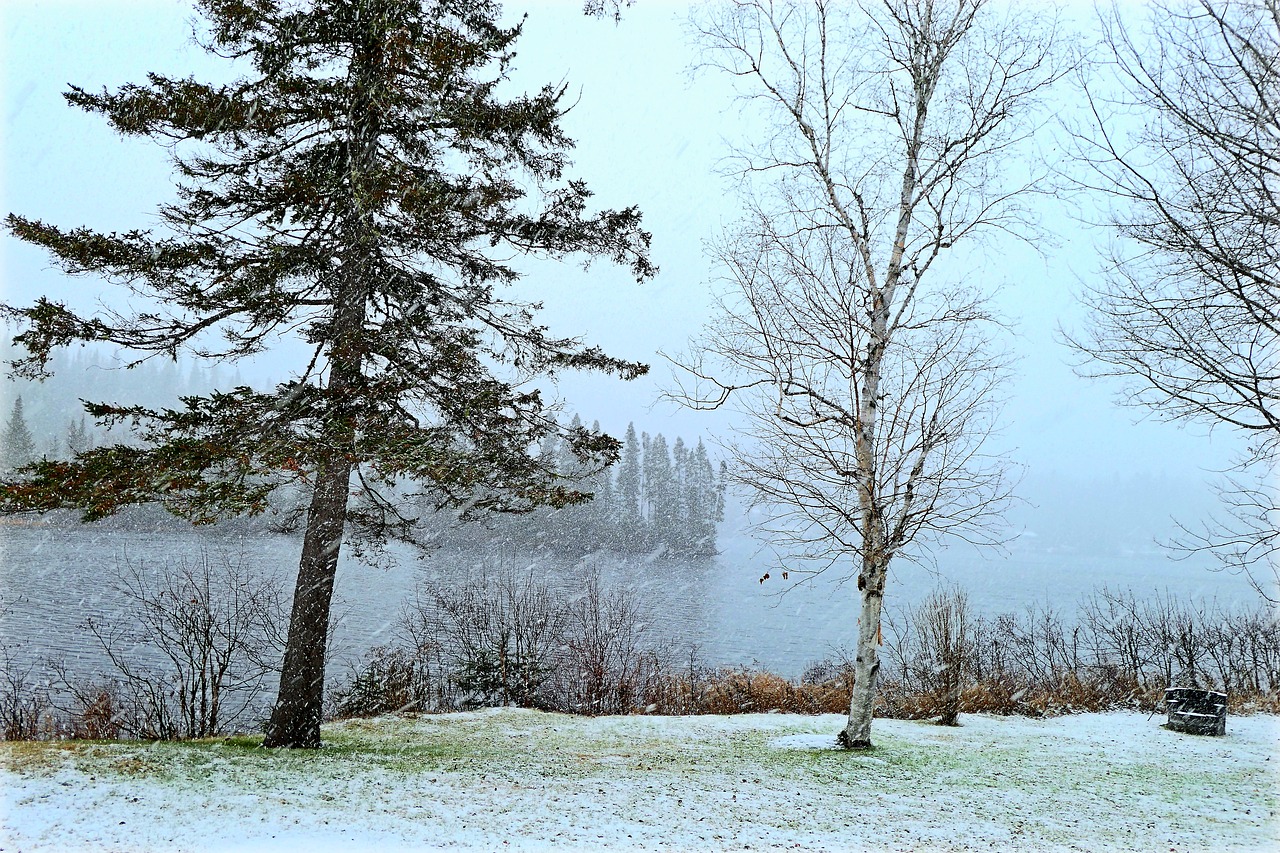 landscape  snow  nature free photo