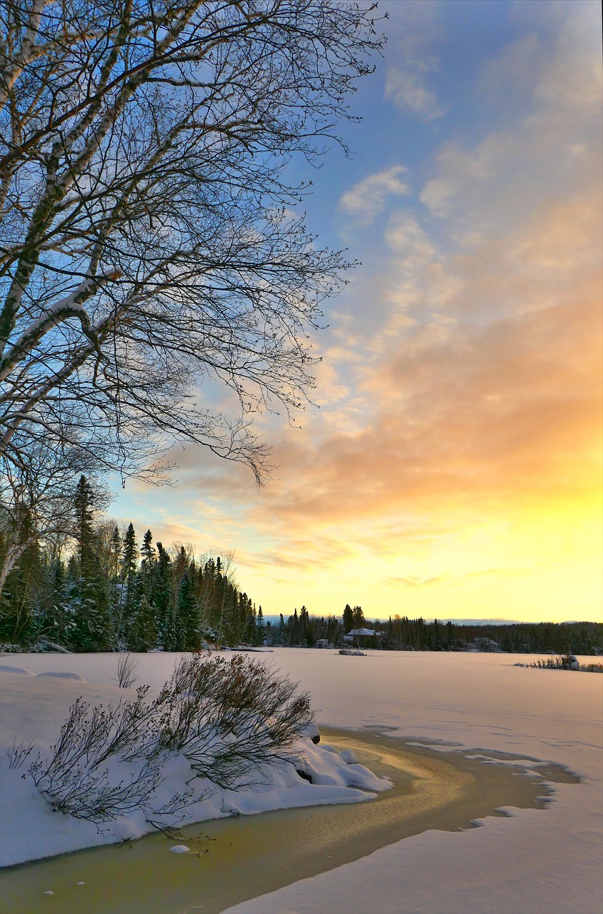 landscape  winter  cold free photo