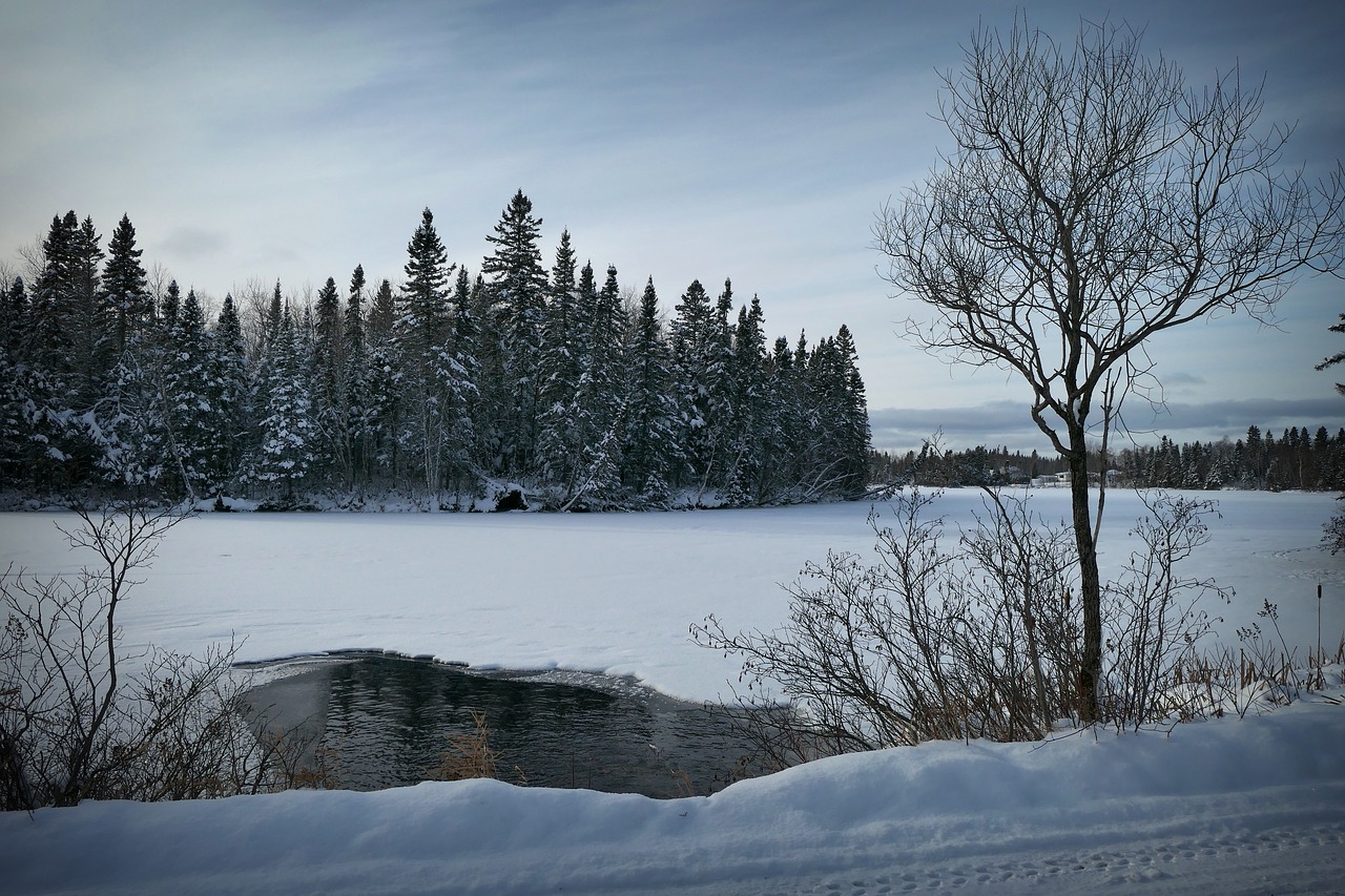 landscape  nature  winter free photo