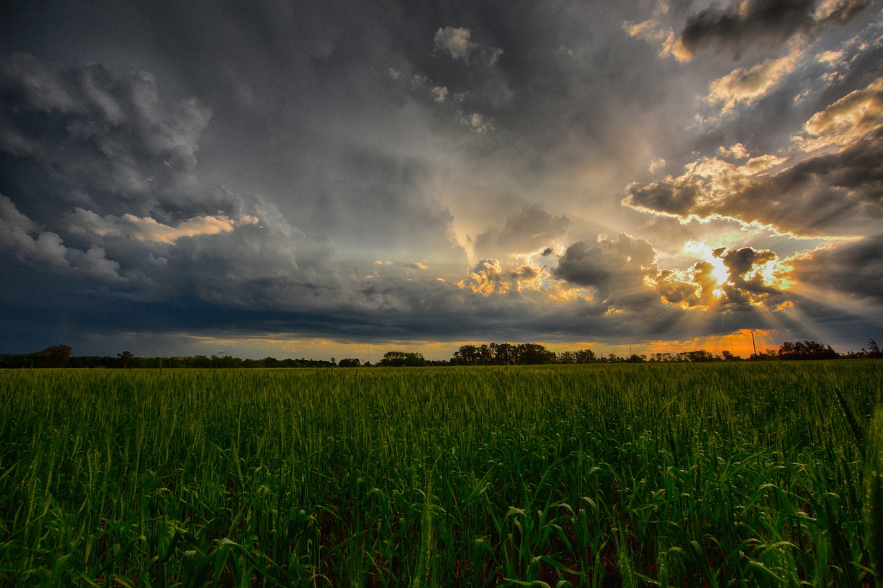 landscape  sunset  nature free photo