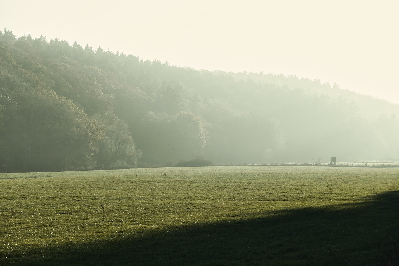 landscape  meadow  green free photo