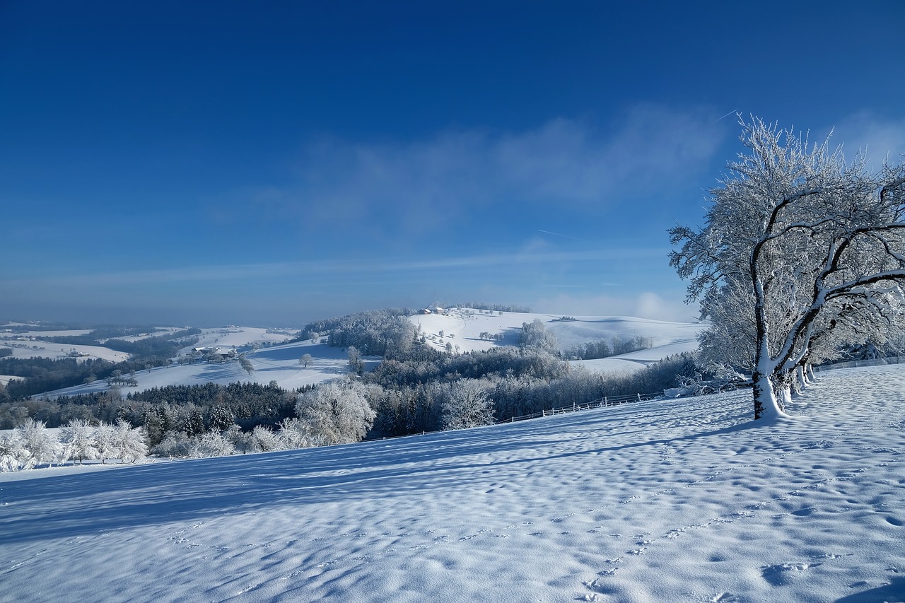 landscape  nature  winter free photo