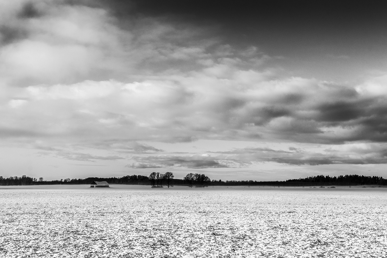 landscape  clouds  fog free photo