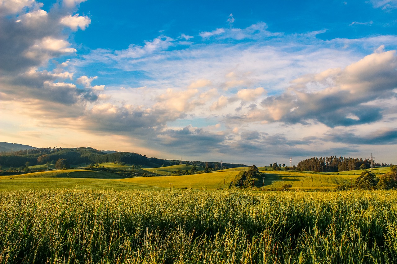 landscape  sky  grass free photo