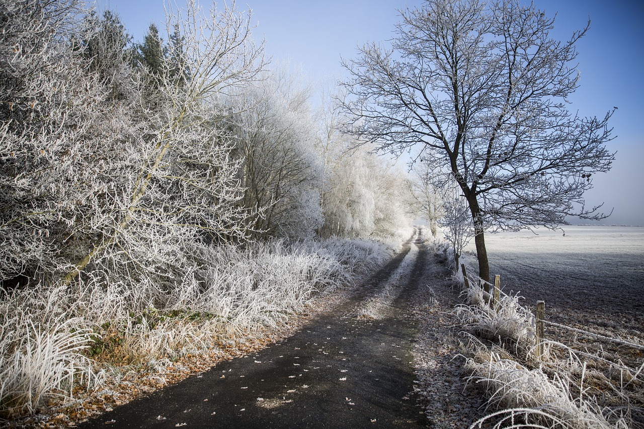 landscape  ice  cold free photo