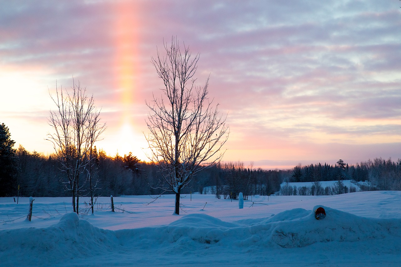 landscape  winter  cold free photo