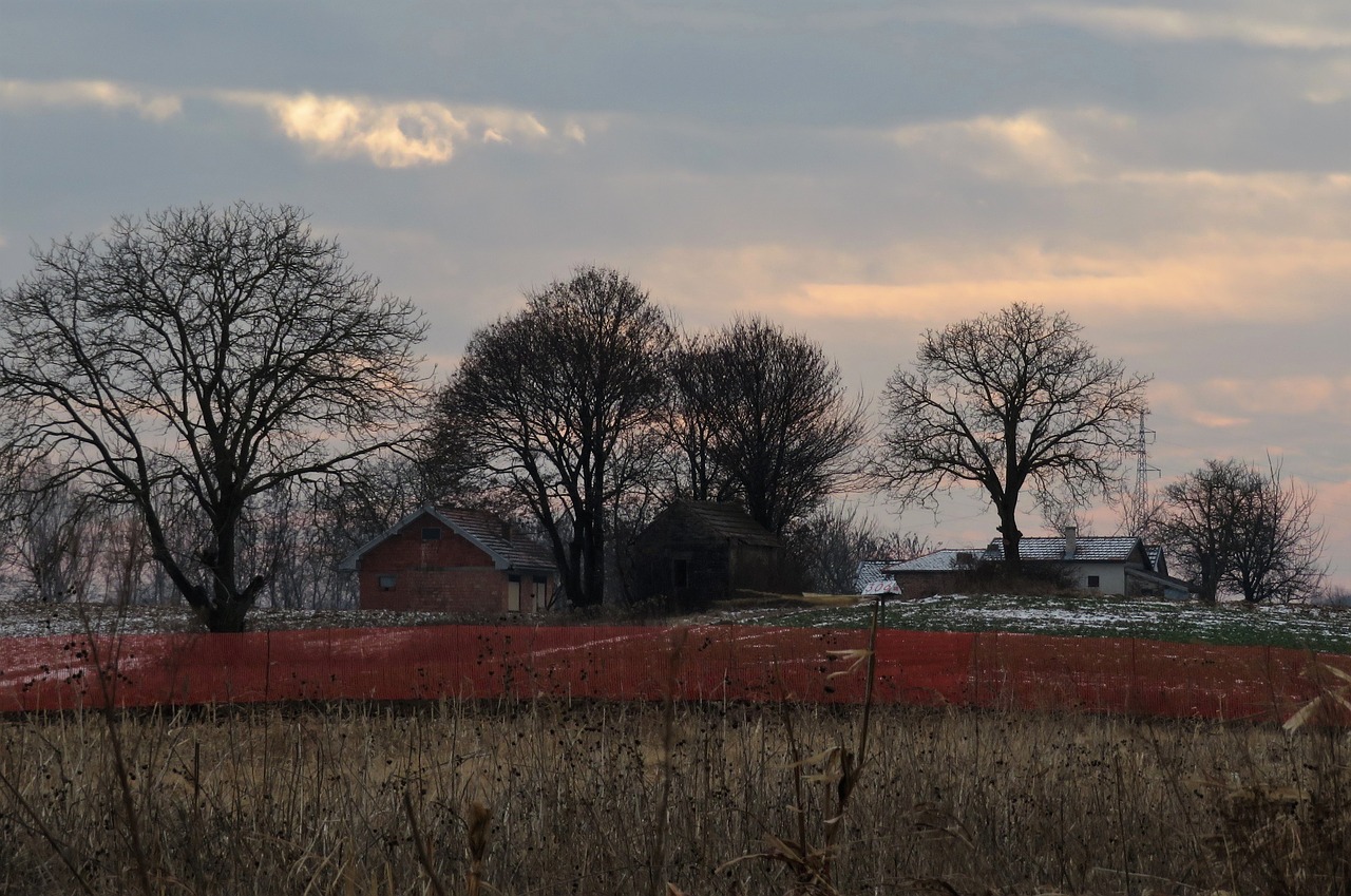 landscape  autumn  trees free photo