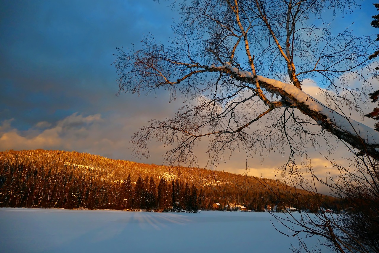 landscape  winter  nature free photo