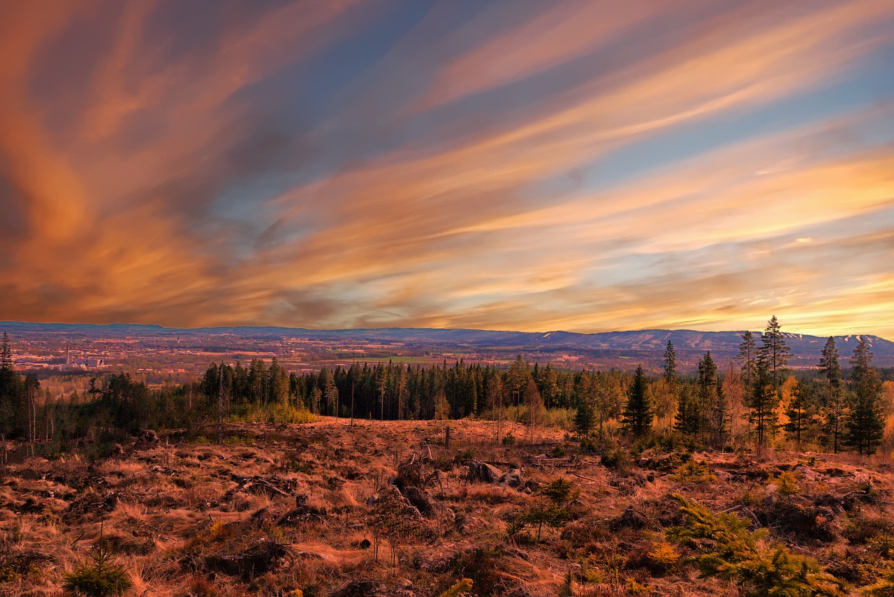 landscape  sunset  evening free photo