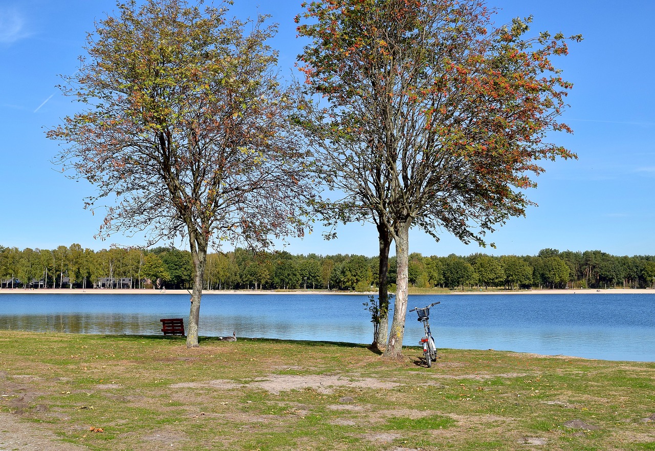 landscape  nature  tree free photo