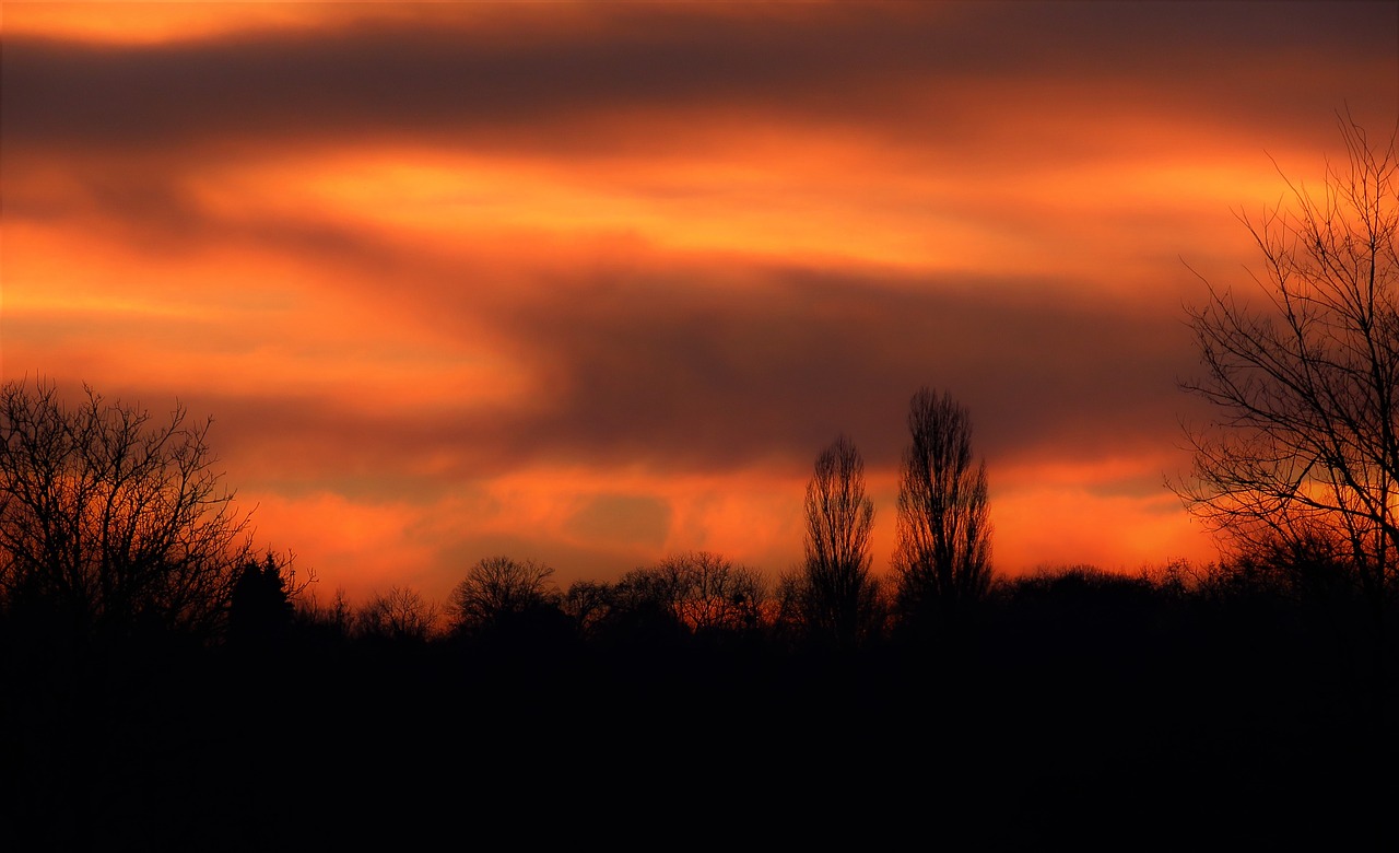 landscape  sunset  red sky free photo