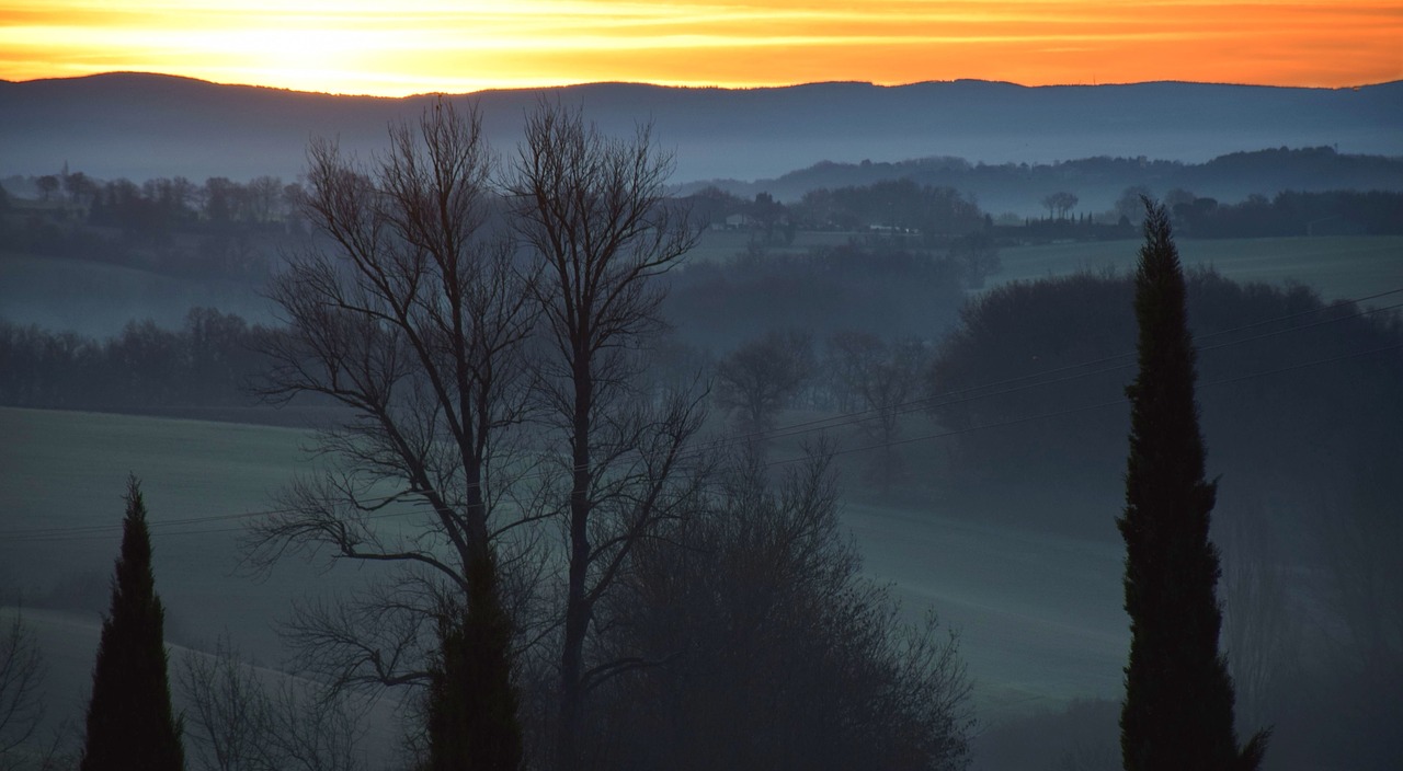 landscape  dawn  nature free photo