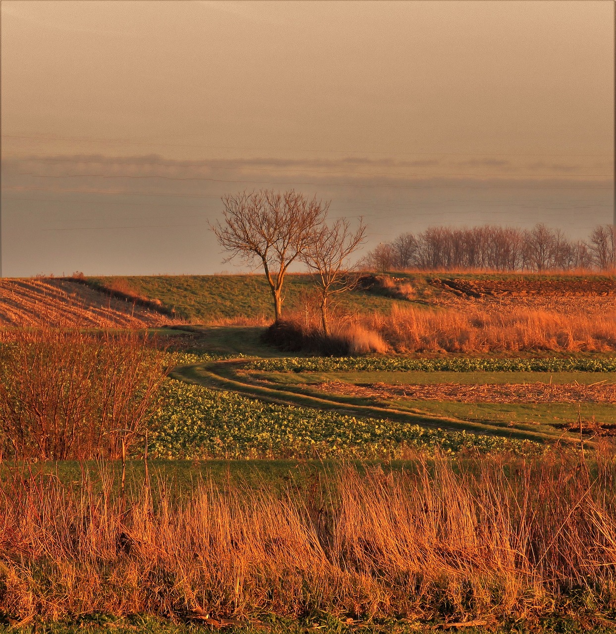 landscape  sunset  day over free photo