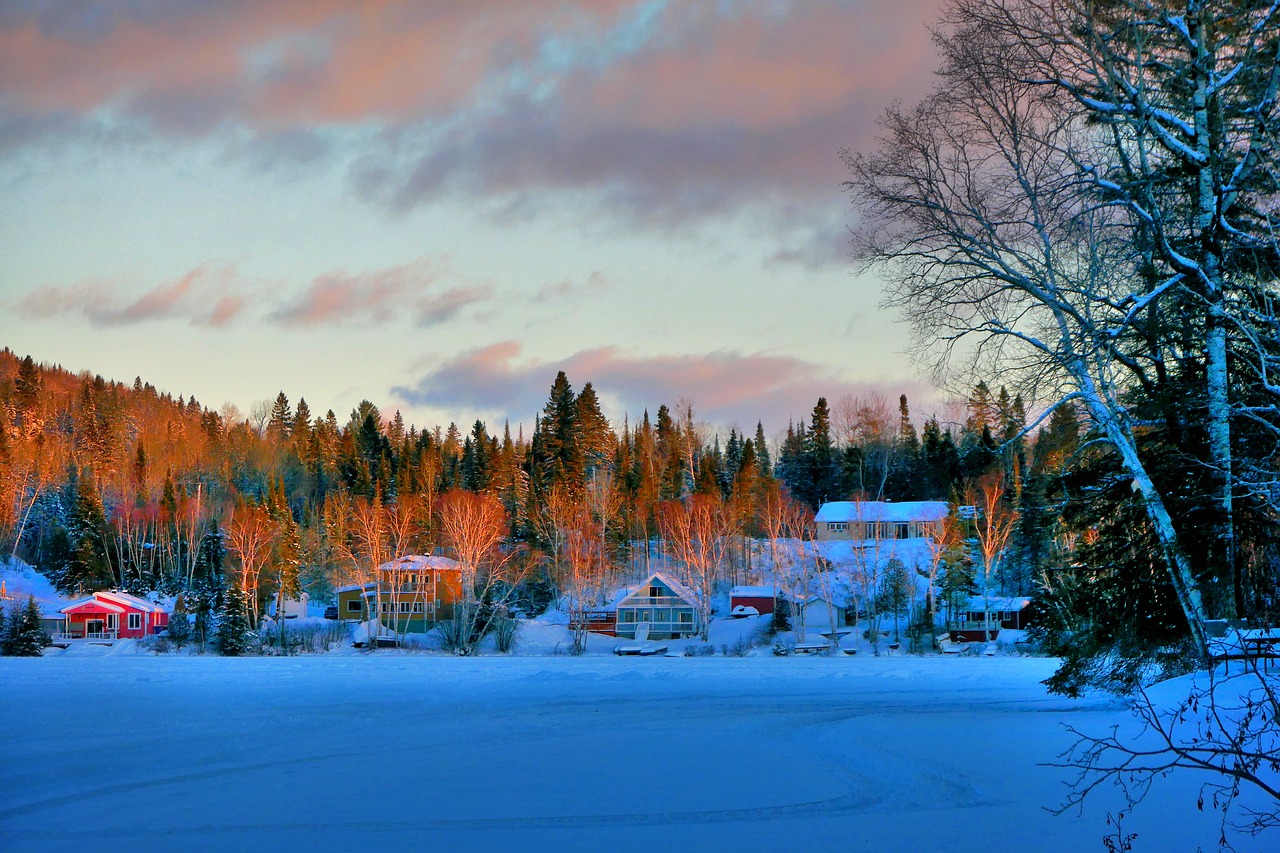 landscape  winter  nature free photo