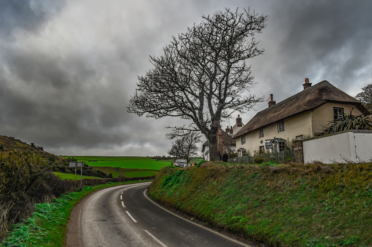 landscape  scenery  road free photo