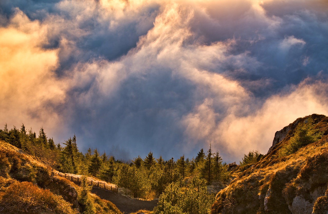 landscape  cloud  fog free photo