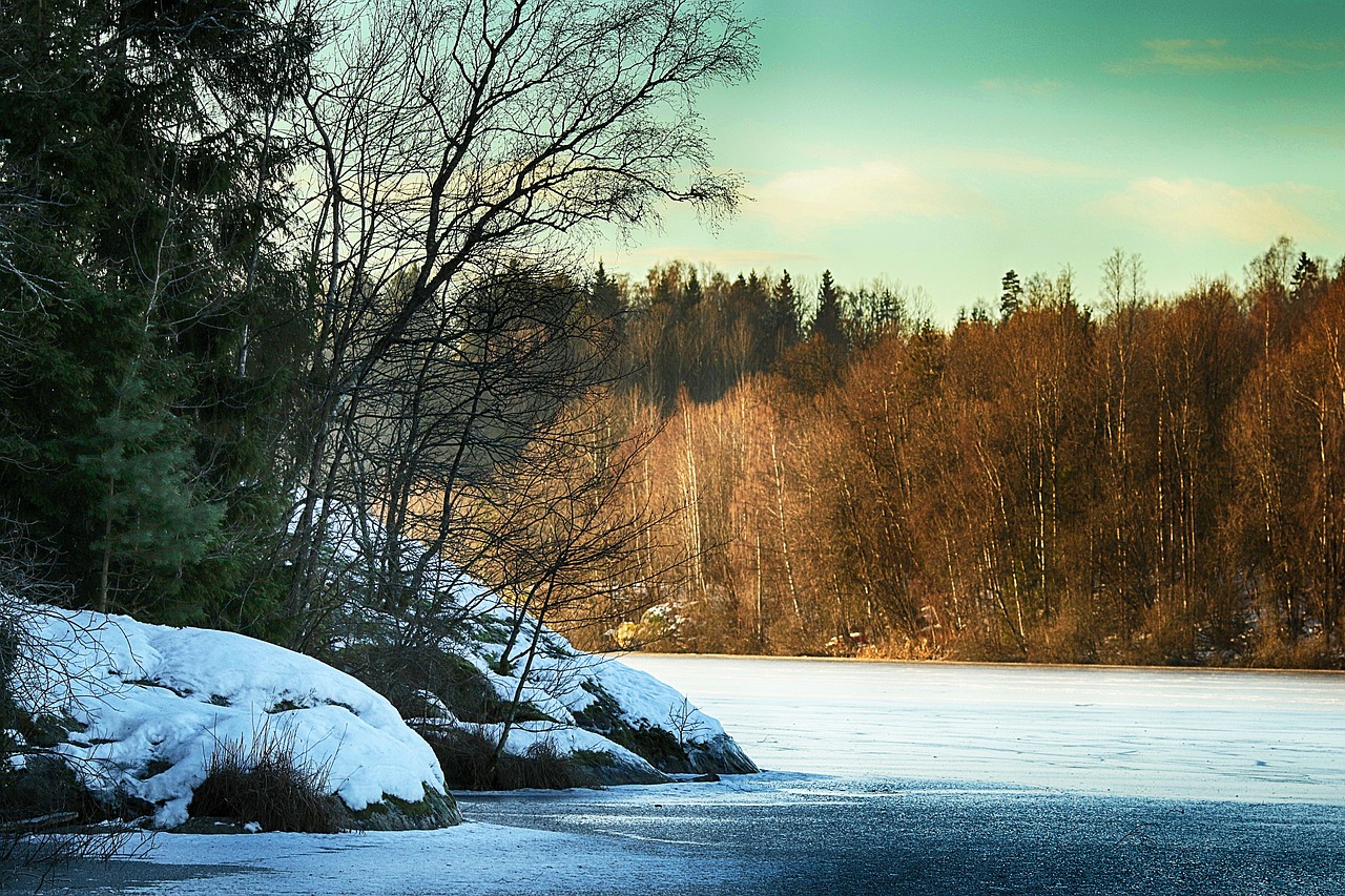 landscape  winter  water free photo