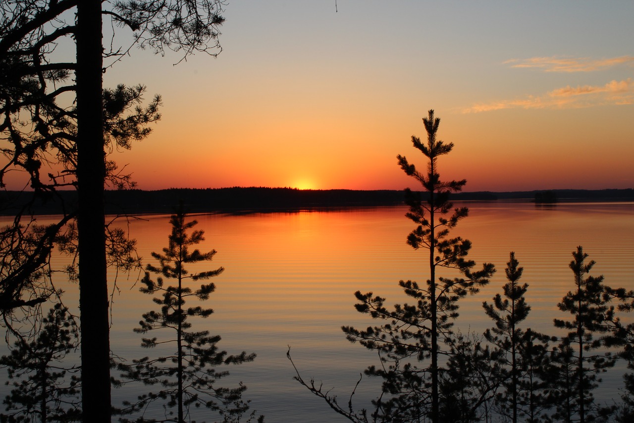 landscape  nature  sunset free photo