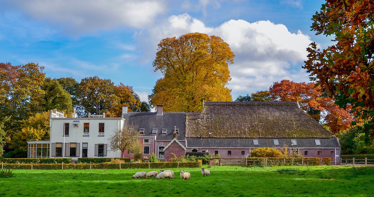 landscape  nature  autumn free photo