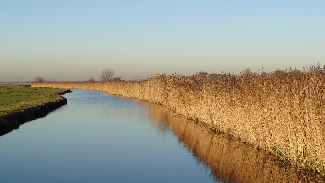 landscape  nature reserve  water free photo