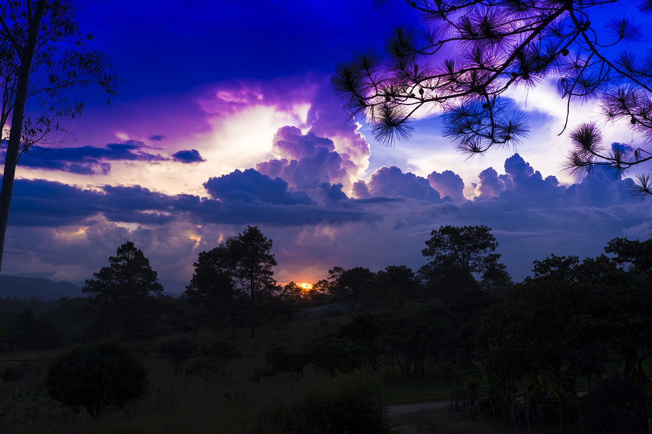 landscape  afternoon  horizon free photo