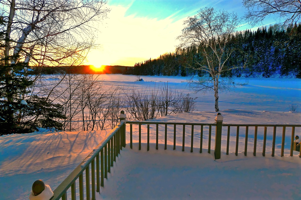 landscape  winter  nature free photo