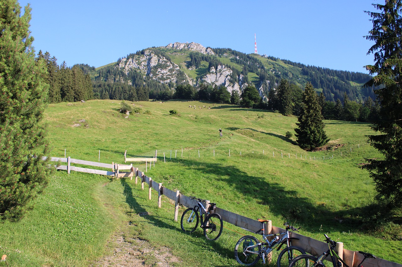 landscape  bike  cycling free photo