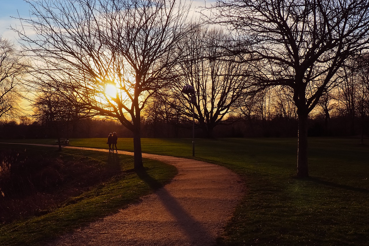 landscape  sunset  nature free photo