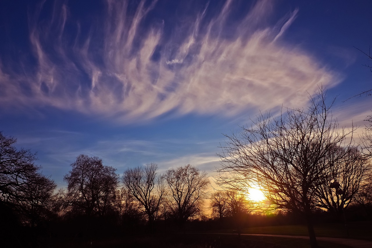 landscape  sunset  nature free photo