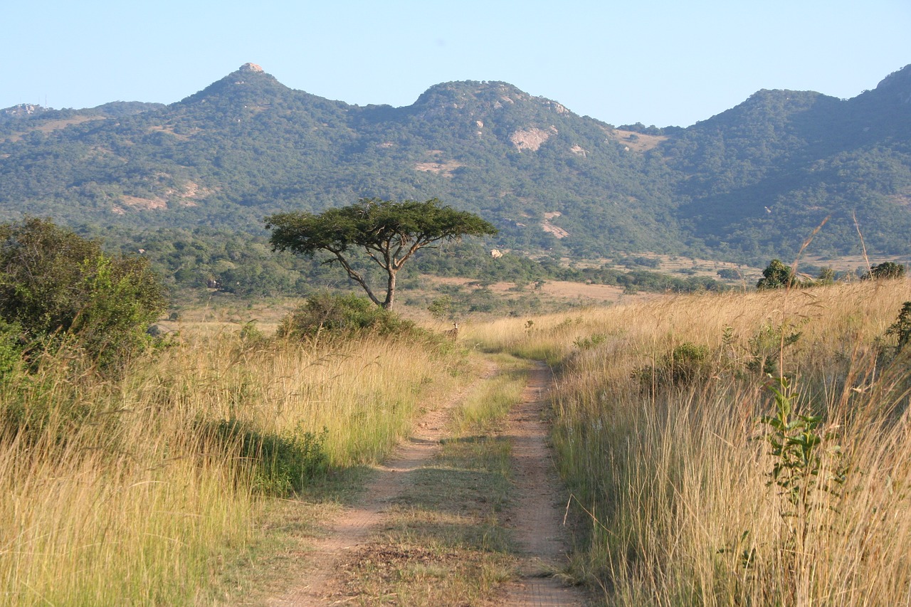 landscape  scenic  africa free photo