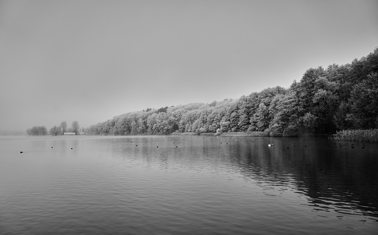 landscape  black and white  water free photo