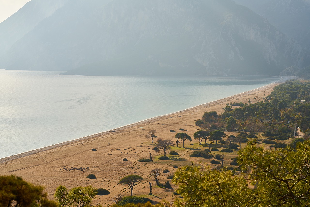 landscape  marine  beach free photo