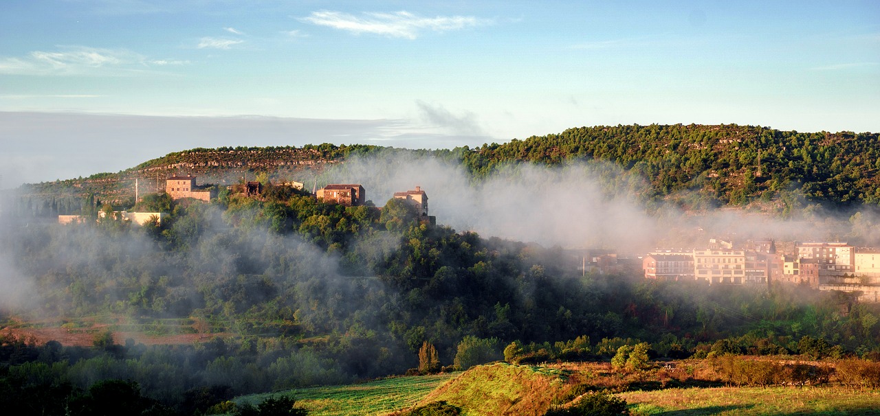 landscape  fog  nature free photo