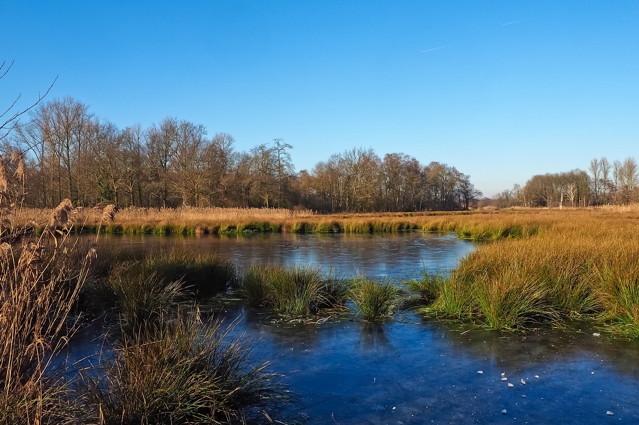 landscape  lake  nature free photo