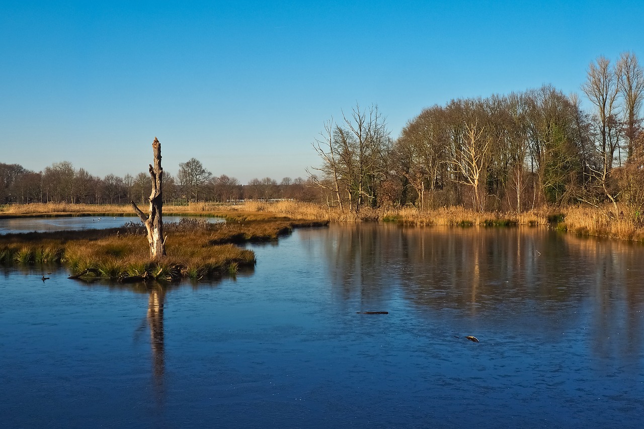 landscape  lake  nature free photo