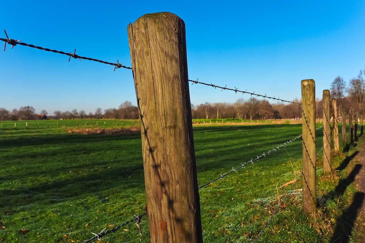 landscape  fence  nature free photo