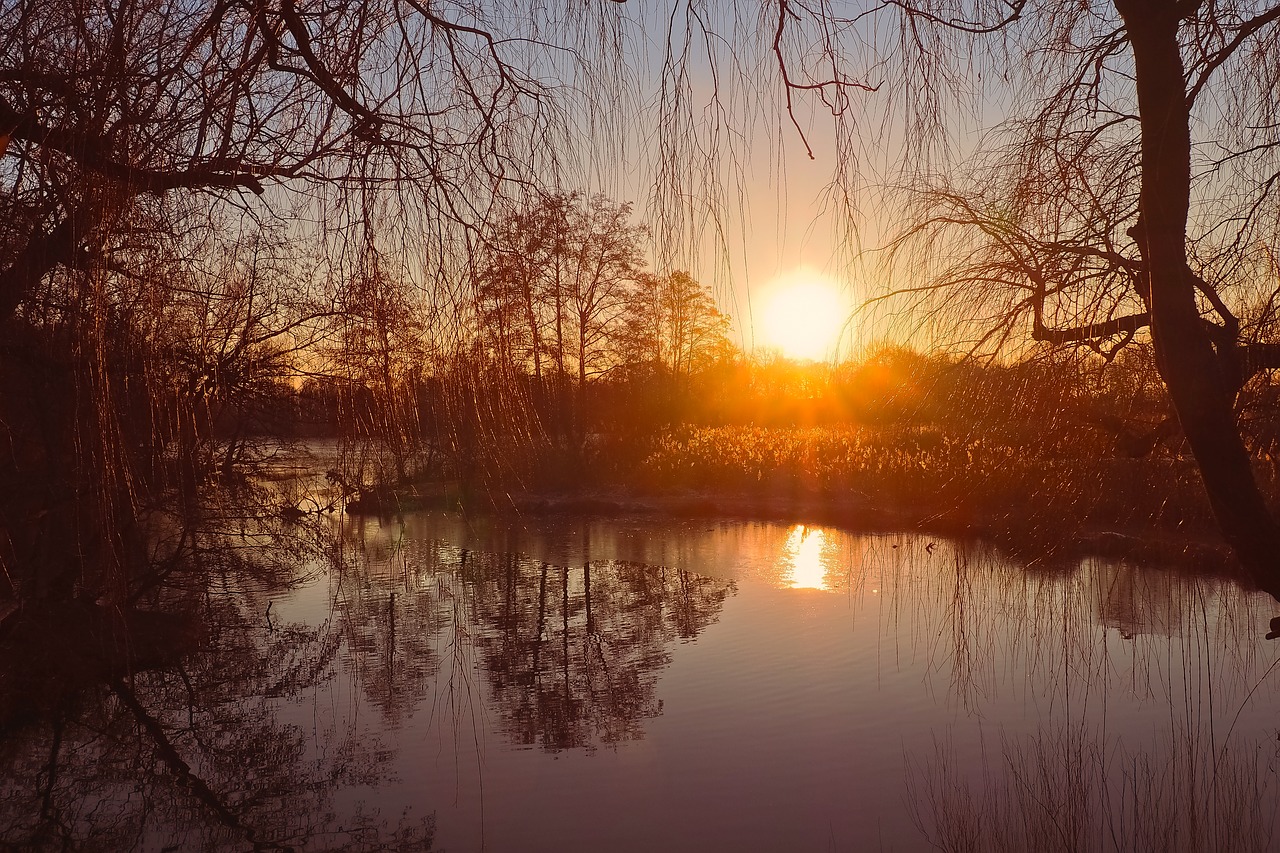 landscape  lake  nature free photo