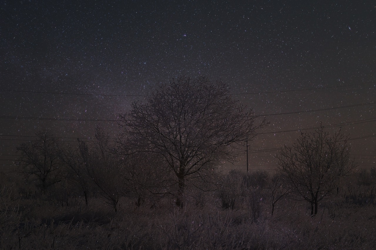 landscape  snow  stars free photo