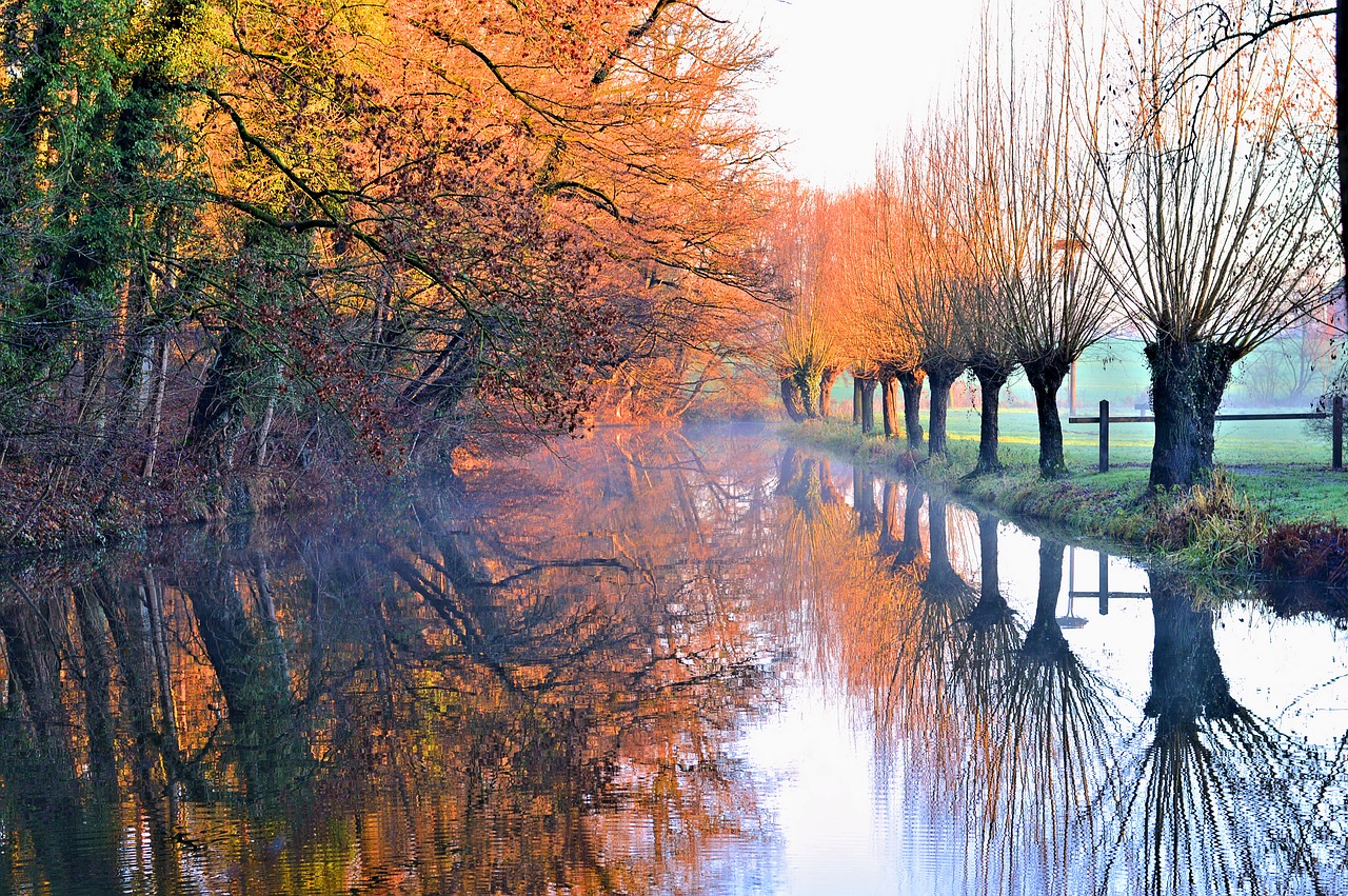 landscape  mirroring  water free photo